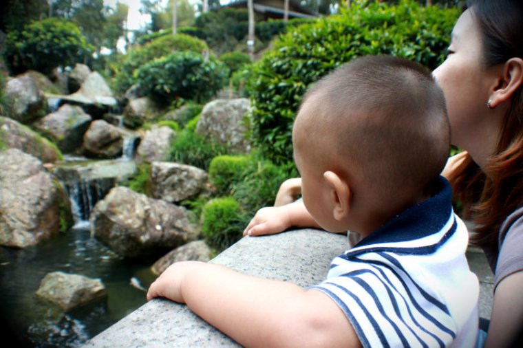 Staring at the small waterfall and fish earnestly..he was sure attracted by these two elements...